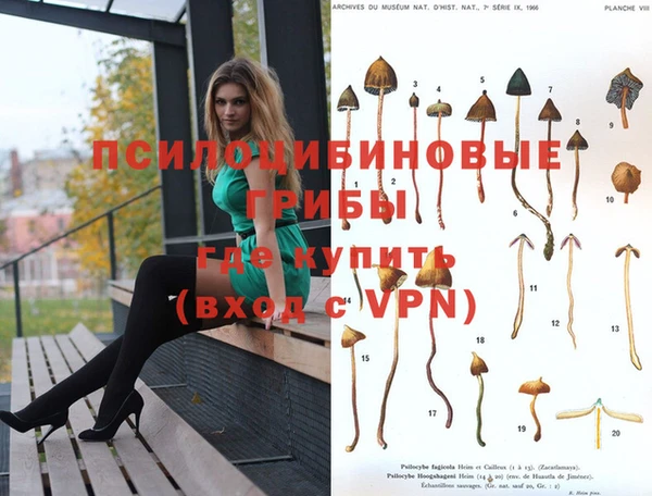 мескалин Наволоки