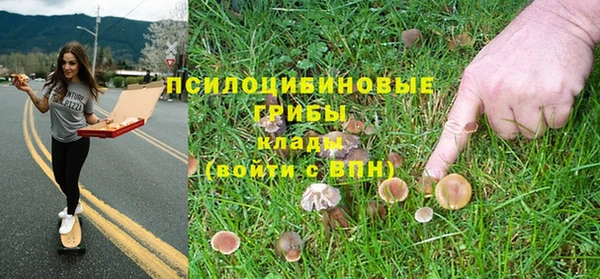 крисы Михайловск