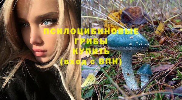 крисы Михайловск