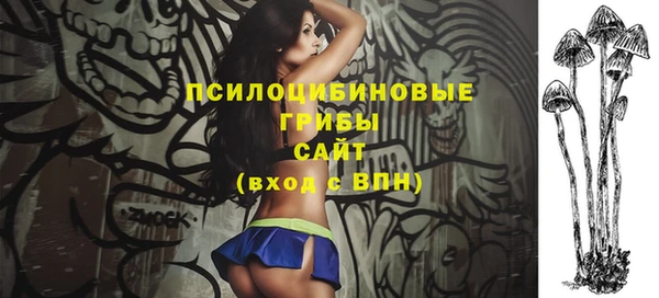 мескалин Надым